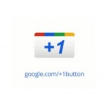 domGoogleOne